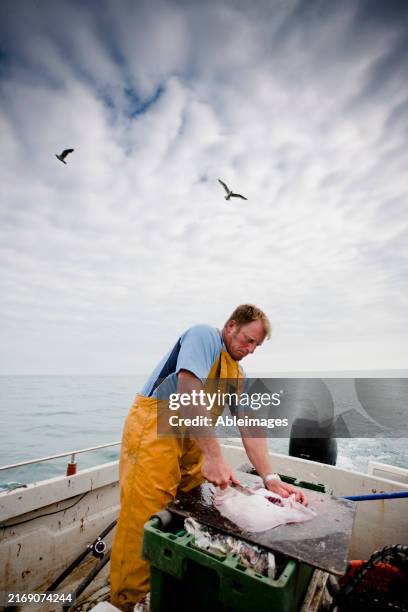 fisherman standing in a boat cutting a fish - fisherman stock pictures, royalty-free photos & images