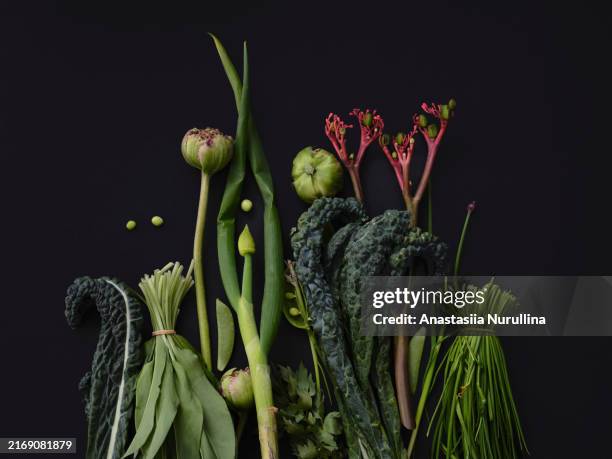 dramatic flat lay still life green vegetable arrangement on black background - foodstyling stock-fotos und bilder