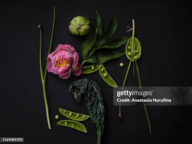 flat lay still life dramatic flower and green vegetable arrangement on black background - estilismo culinário imagens e fotografias de stock