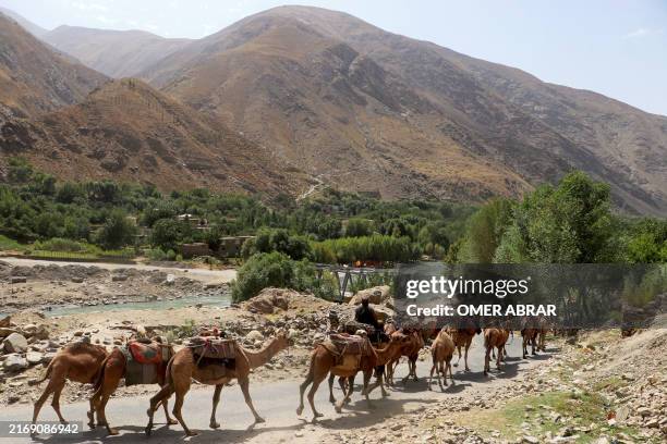 Khash Rd 16 Khash District Stock Photos, High-Res Pictures, and Images - Getty ...