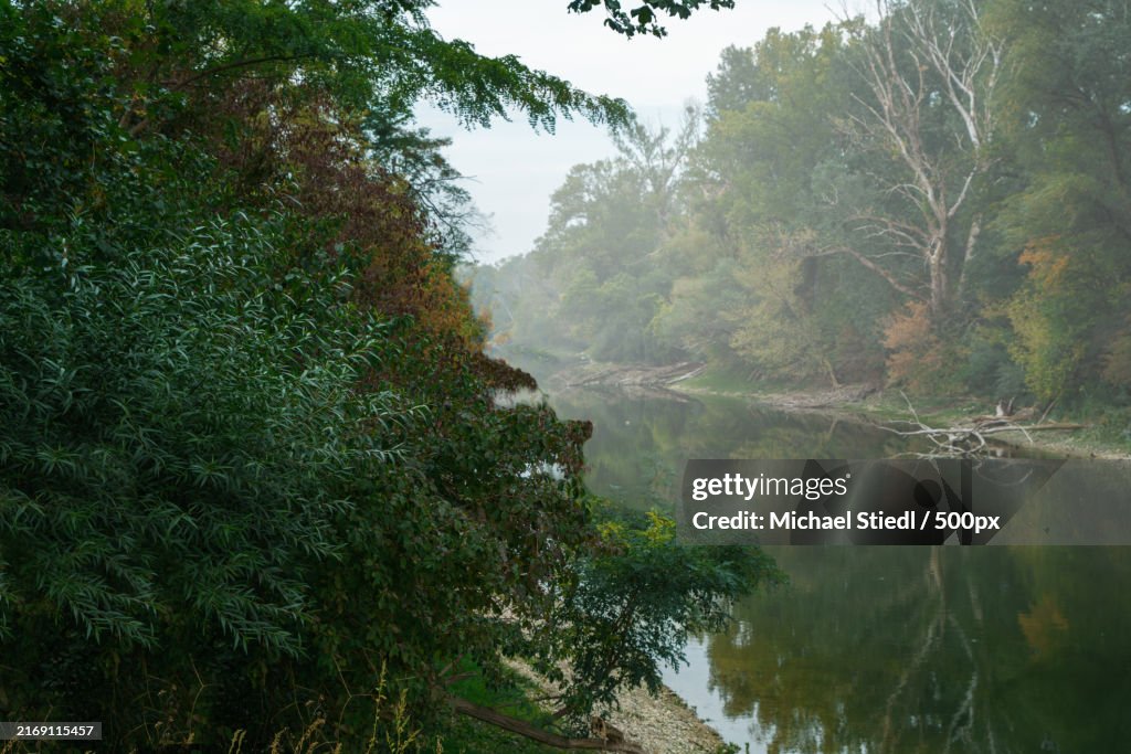 Scenic view of lake in forest,Wien,Austria