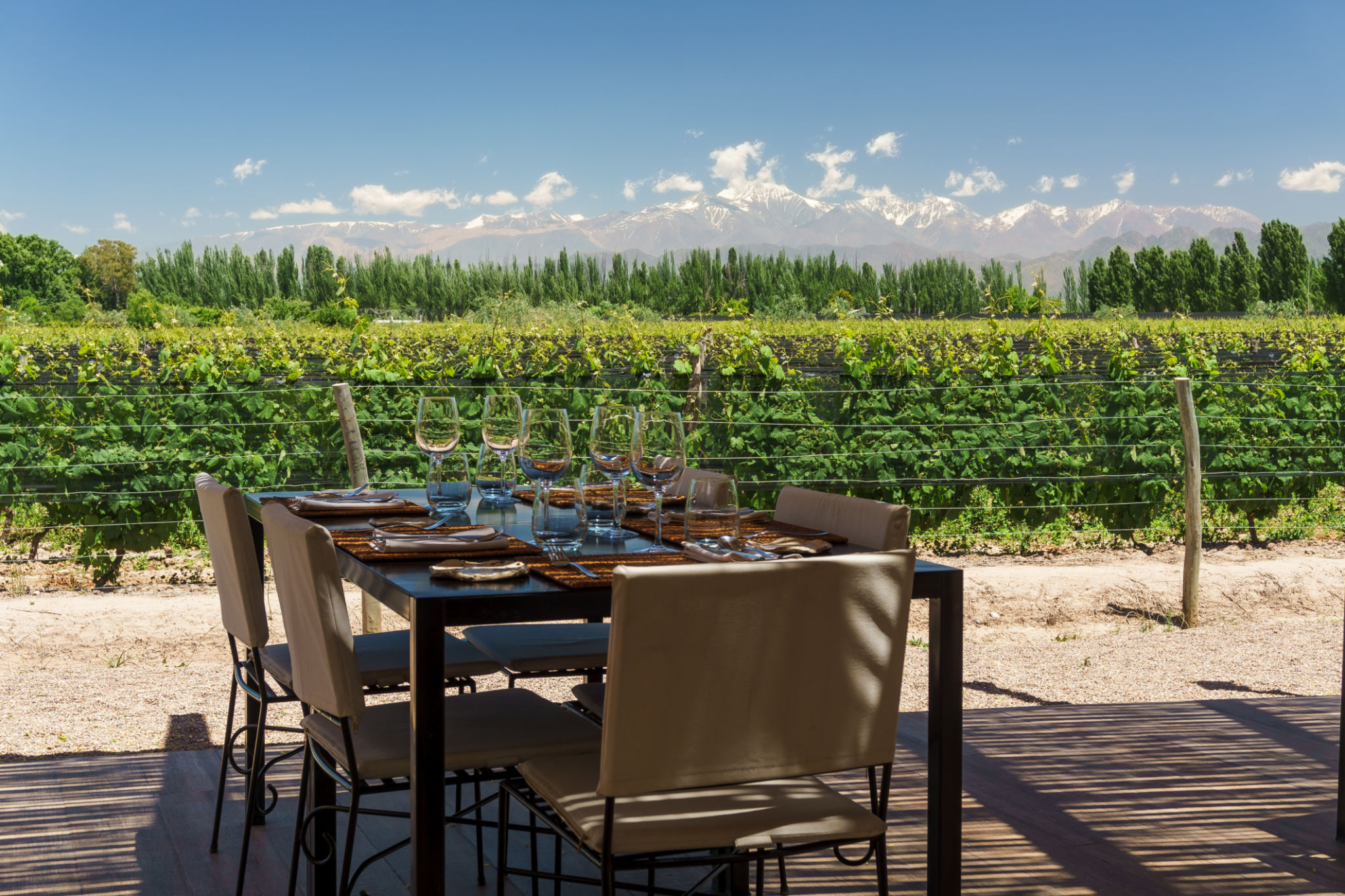 mendoza wine festival