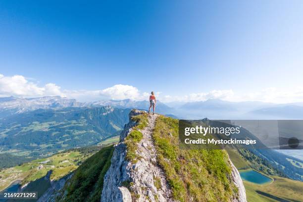 frau steht auf bergkamm mit alpenpanorama - berggipfel stock-fotos und bilder
