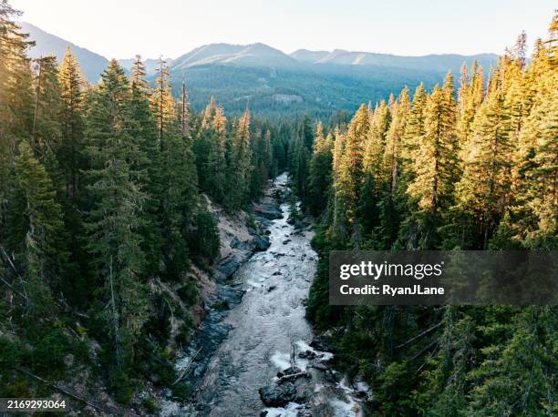 wunderschöner bergwald und flusslandschaften - pazifischer nordwesten der usa stock-fotos und bilder