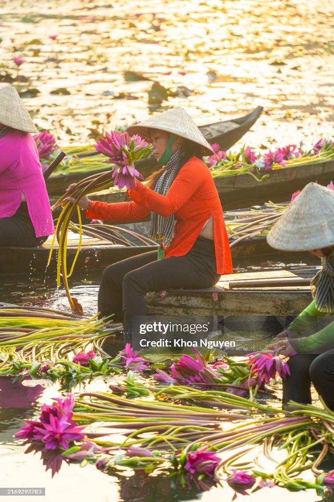 Provincia de Long An, Vietnam - 14 de abril de 2024: vista de mujeres rurales en un bote de madera en el distrito de Moc Hoa, provincia de Long An, delta del Mekong, están cosechando nenúfares. El nenúfar es un plato tradicional aquí. Concepto de viaje