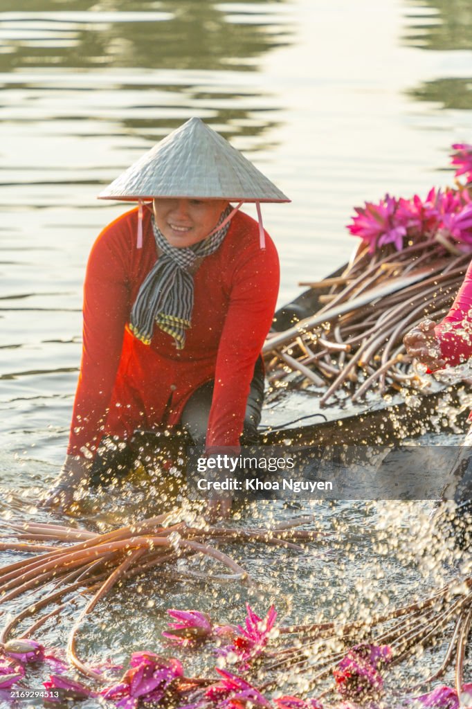 Vista de mujeres rurales en un bote de madera en el distrito de Moc Hoa, provincia de Long An, delta del Mekong están cosechando nenúfares. El nenúfar es un plato tradicional aquí. Concepto de viaje y paisaje