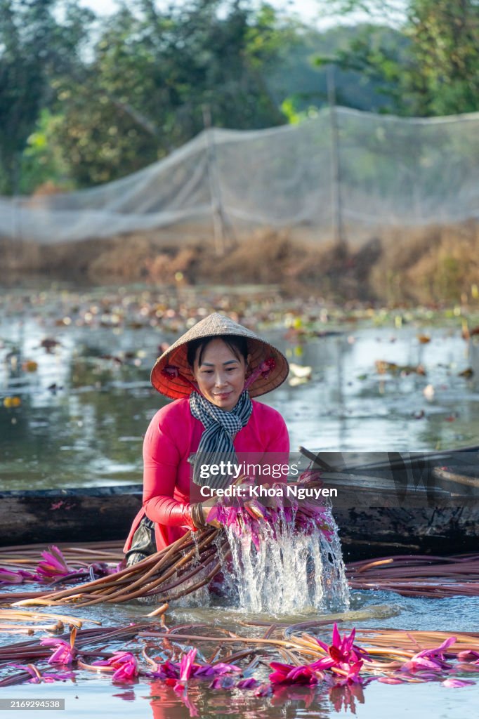 Vista de mujeres rurales en un bote de madera en el distrito de Moc Hoa, provincia de Long An, delta del Mekong están cosechando nenúfares. El nenúfar es un plato tradicional aquí. Concepto de viaje y paisaje