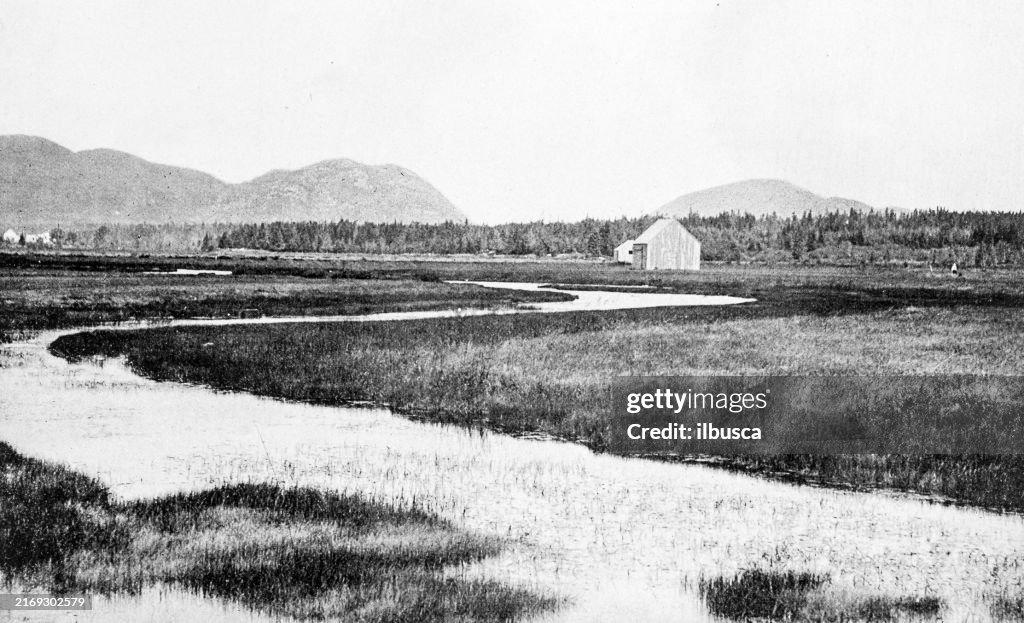 Antique Photograph: Mount Desert Island and Massachusetts Meadow