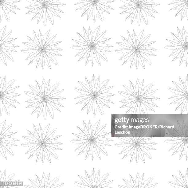 seamelss feathers light template vector background pattern - feather texture close up stock illustrations