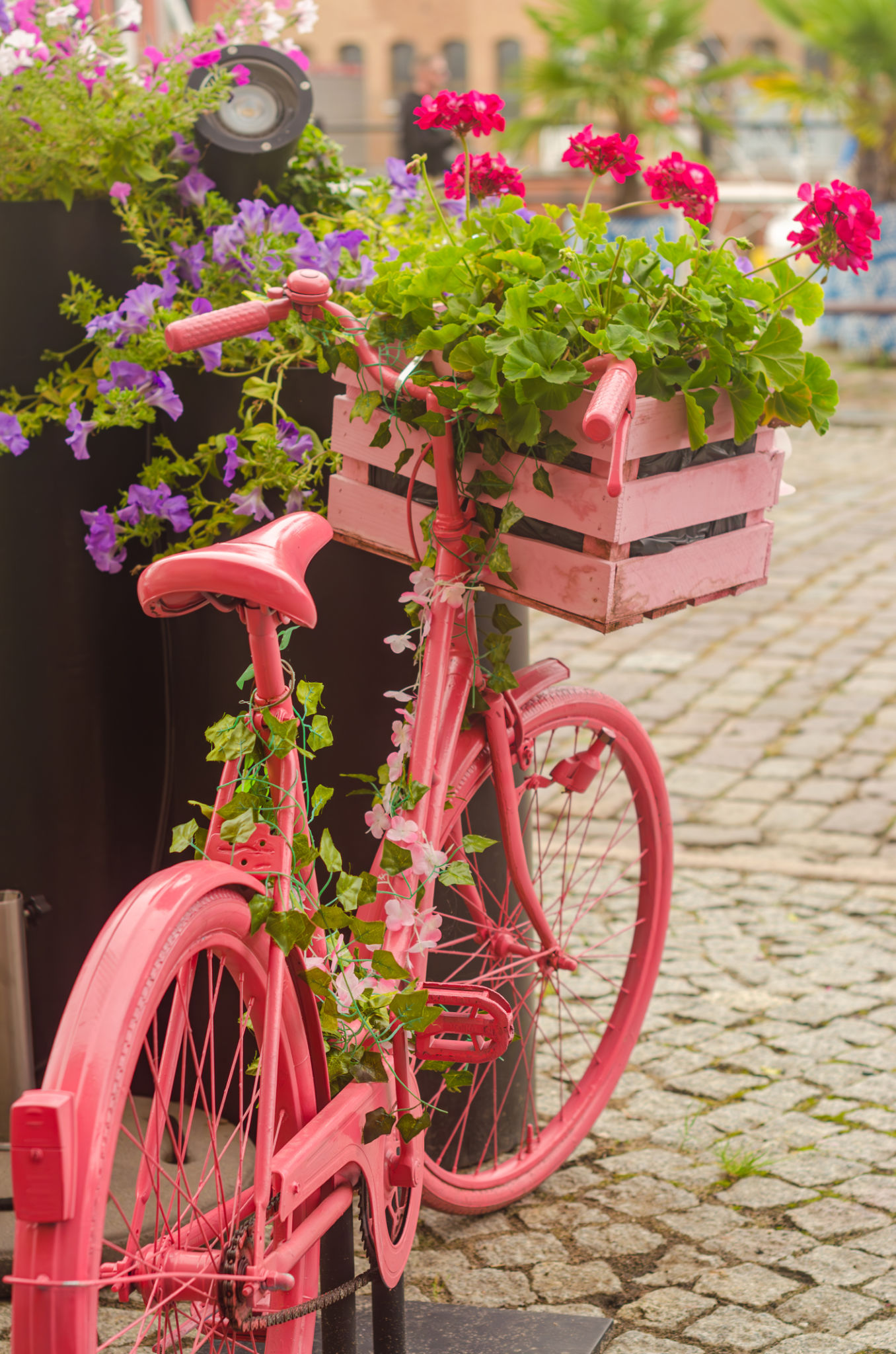 cycling basket