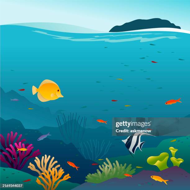 illustrations, cliparts, dessins animés et icônes de mer de corail - lagon