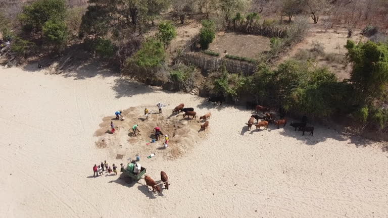 Mutzi 1,036 Community Africa Water Stock Videos, Footage, & 4K Video Clips ...