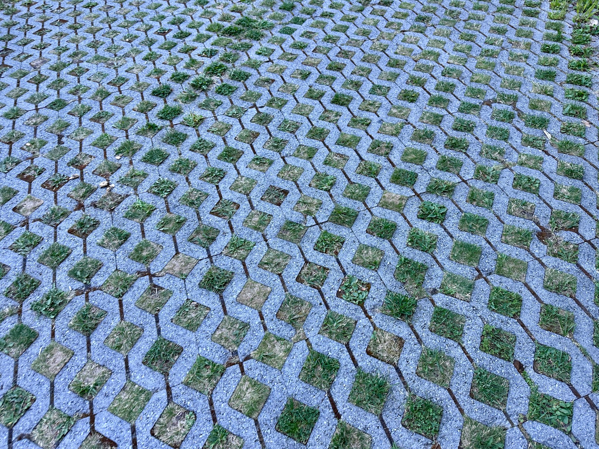 permeable pathway