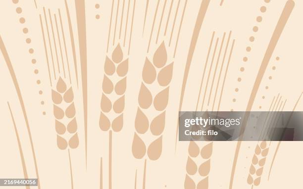 weizen ernte getreide sommer herbst hintergrund - weizenähre stock-grafiken, -clipart, -cartoons und -symbole