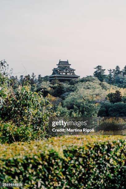 glimpse of matsue castle - shimane prefecture, japan - japanese roof tiles bildbanksfoton och bilder