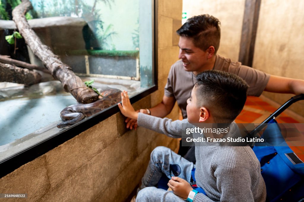 Father and son with physical disability looking at aquarium