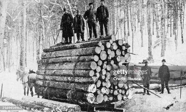 1,698 Vintage Lumberjack Stock Photos, High-Res Pictures, and