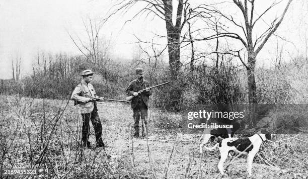 ilustraciones, imágenes clip art, dibujos animados e iconos de stock de fotografía antigua: caza en nueva jersey - animales cazando