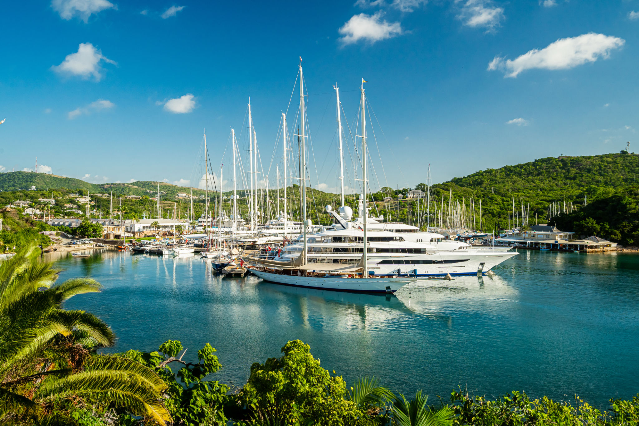 caribbean charter