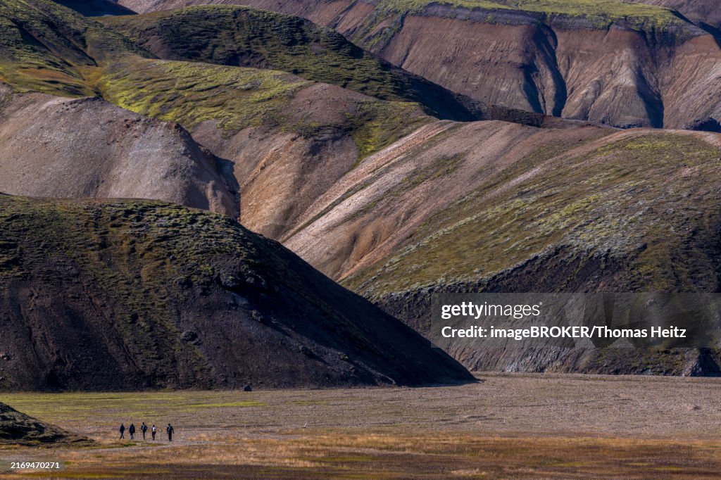 A group of tourists walking through the volcanic area of Landmannalaugar in Iceland