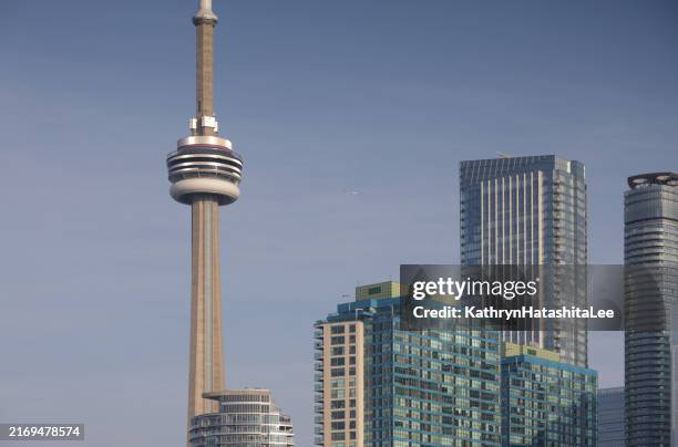 toronto's cn tower and downtown buildings in summer - cn tower stock pictures, royalty-free photos & images
