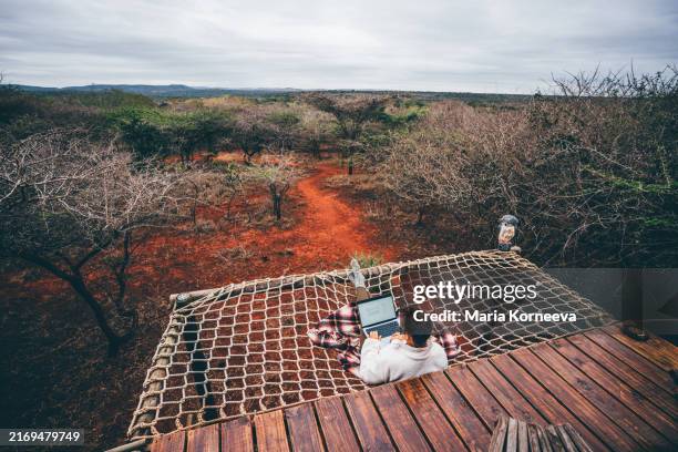 a woman lies on the terrace with laptop in a hammock of a tiny house above the bushes in africa. - safari lodge stock pictures, royalty-free photos & images