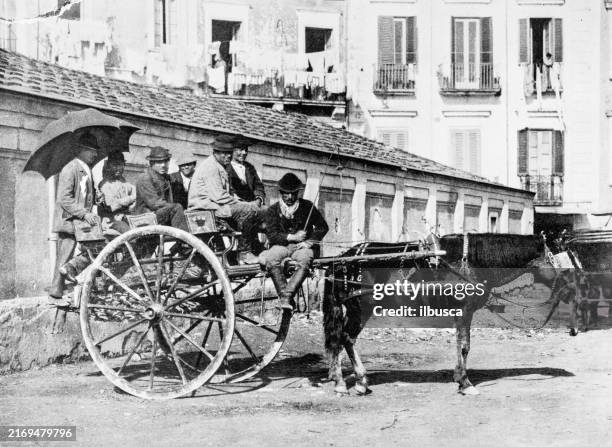 antique photograph: naples, italy - overloaded donkey cart stock illustrations