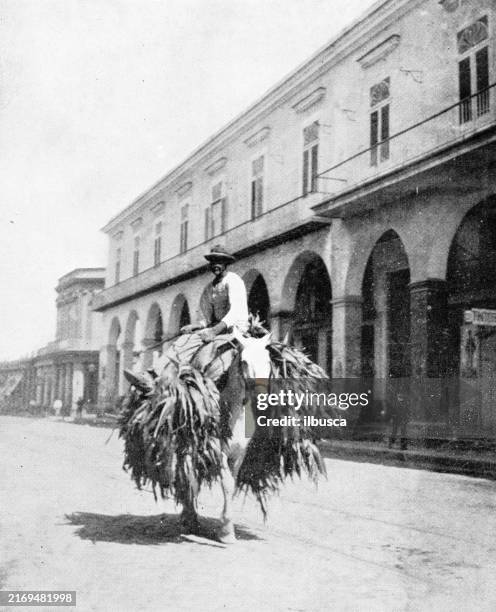 antique photograph: people in cuba - tobacco crop stock illustrations