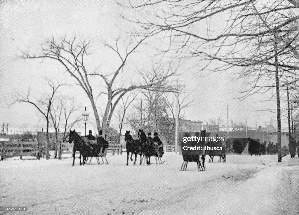 Antique Photograph: Horse sledges