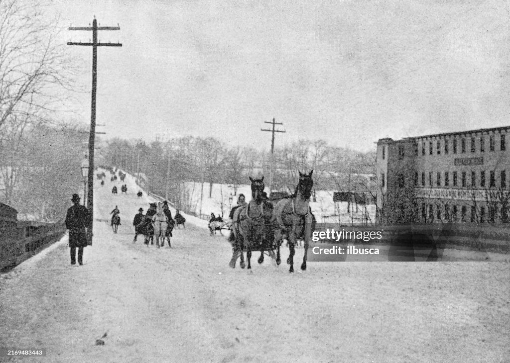 Antique Photograph: Horse sledges