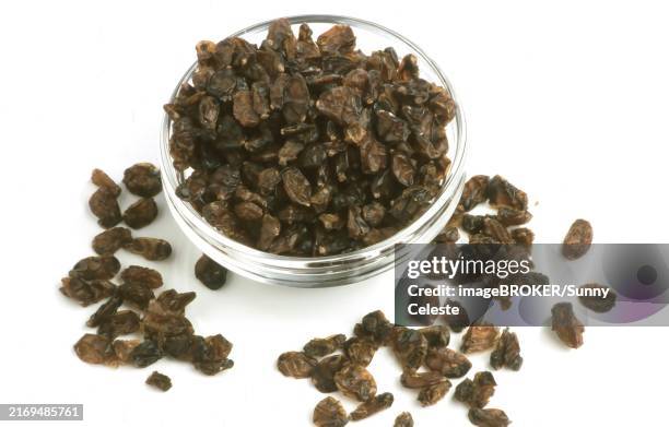 berberis vulgaris.dried berries of the barberry, very rich in vitamins and have a tart flavour, spice - berberis vulgaris stock pictures, royalty-free photos & images