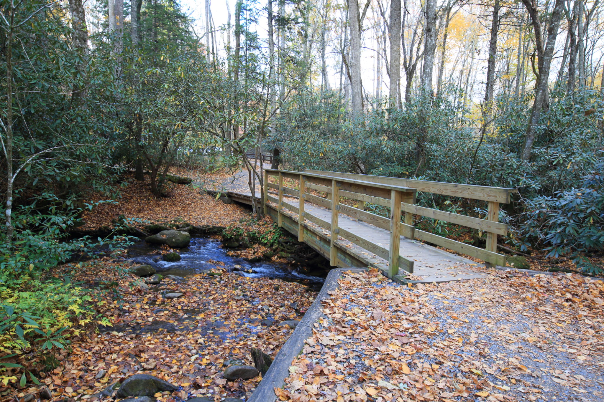 sope creek trail