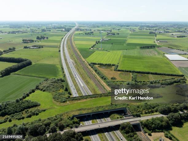 eco bridge in belgium - wildlife crossing stock pictures, royalty-free photos & images