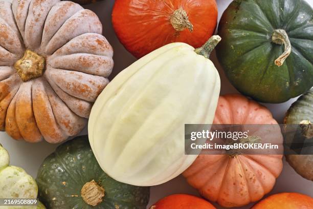 Small Ripe Squash 47 Ripe Acorn Squash Stock Photos, High-Res Pictures, and Images ...