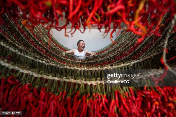 Villager checks the drying status of red chili pepper tied together by strings on August 30, 2024 in Bijie, Guizhou Province of China.