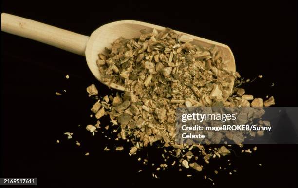 Condurango Cortex 12 Marsdenia Stock Photos, High-Res Pictures, and Images - Getty Images