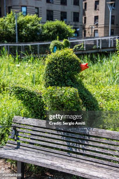 topiary duck - eccentric stock pictures, royalty-free photos & images