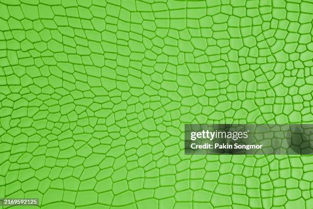 textured background of green color crocodile leather artificial, skin pattern. - tierschuppe stock-fotos und bilder