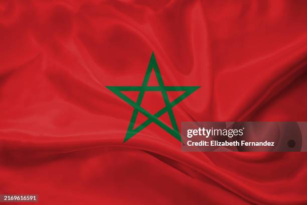 flag of morocco - marocko bildbanksfoton och bilder