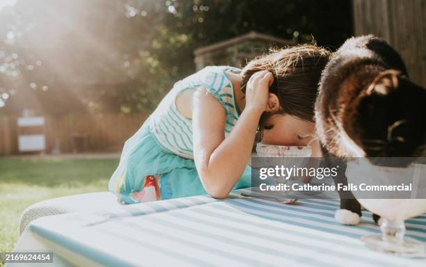 comical image of a little girl pretending to be a cat, licking ice cream from a glass dessert dish in the same manner as her opportunistic pet - gefrorener joghurt stock-fotos und bilder