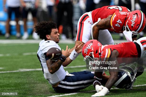 Nick Evers of the Connecticut Huskies is hit by Trey Reddick and Caleb Wheatland of the Maryland Terrapins in the third quarter at SECU Stadium on...
