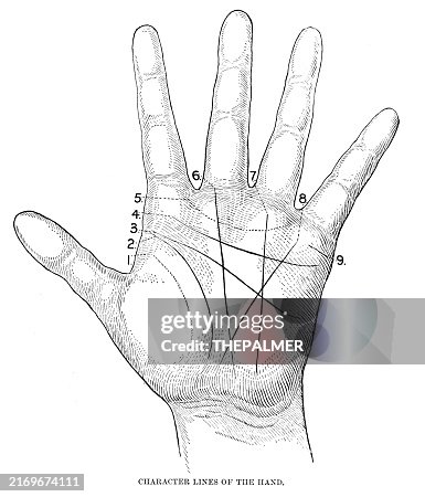 Cardinal Line Hand Character Lines Of The Hand Anatomy Human Print 1887 High-Res Vector ...