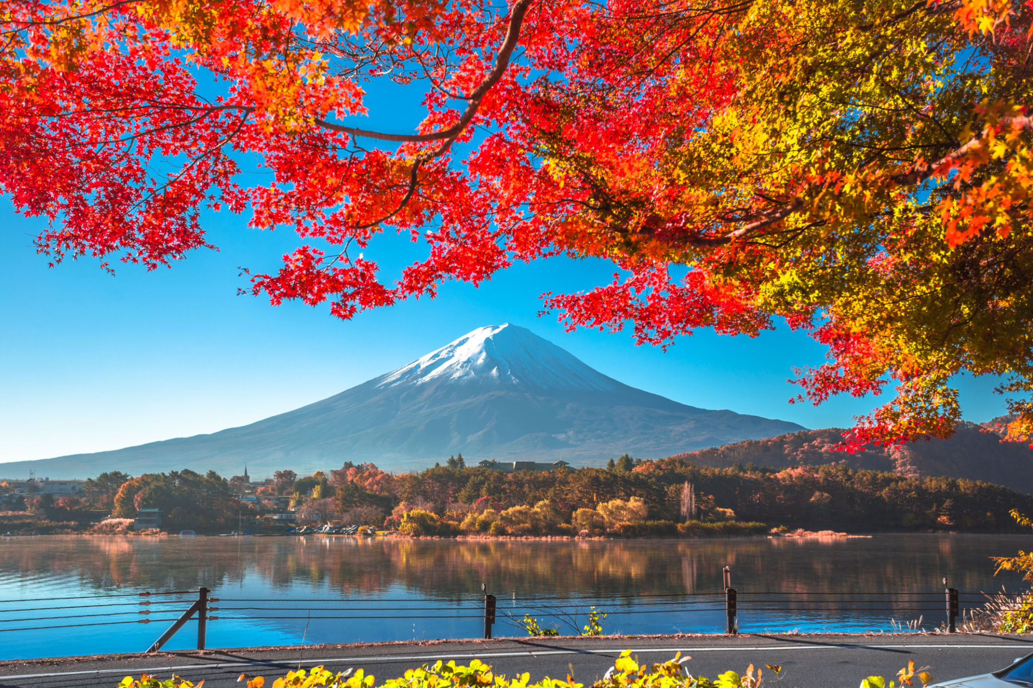 mt fuji autumn