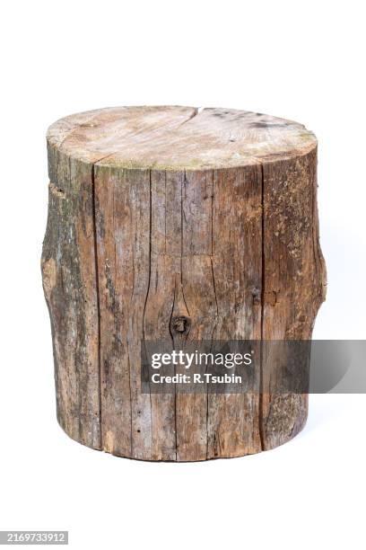 log isolated on a white background - baumstumpf stock-fotos und bilder