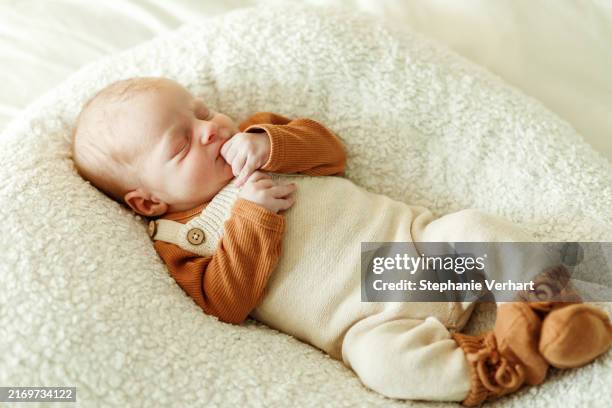 newborn baby, lying on his back - sterrenbeeld tweelingen stockfoto's en -beelden