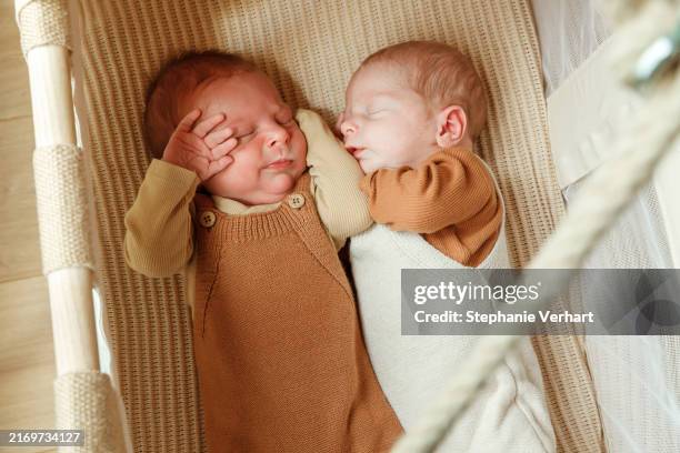 cute fraternal twin babies, brothers, lying on their back - twin stock pictures, royalty-free photos & images