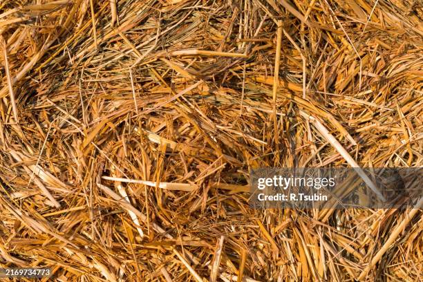 piled hay bales - stro stockfoto's en -beelden