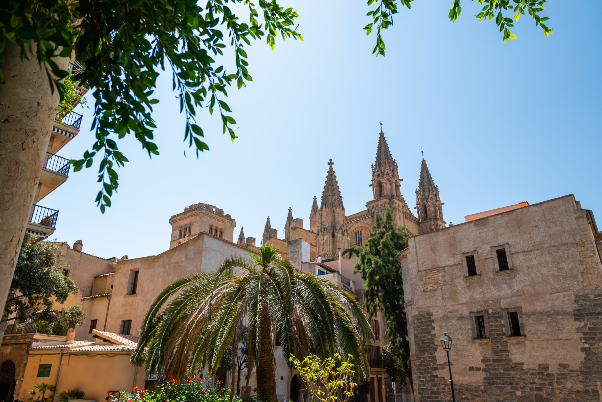 palma museum entrance