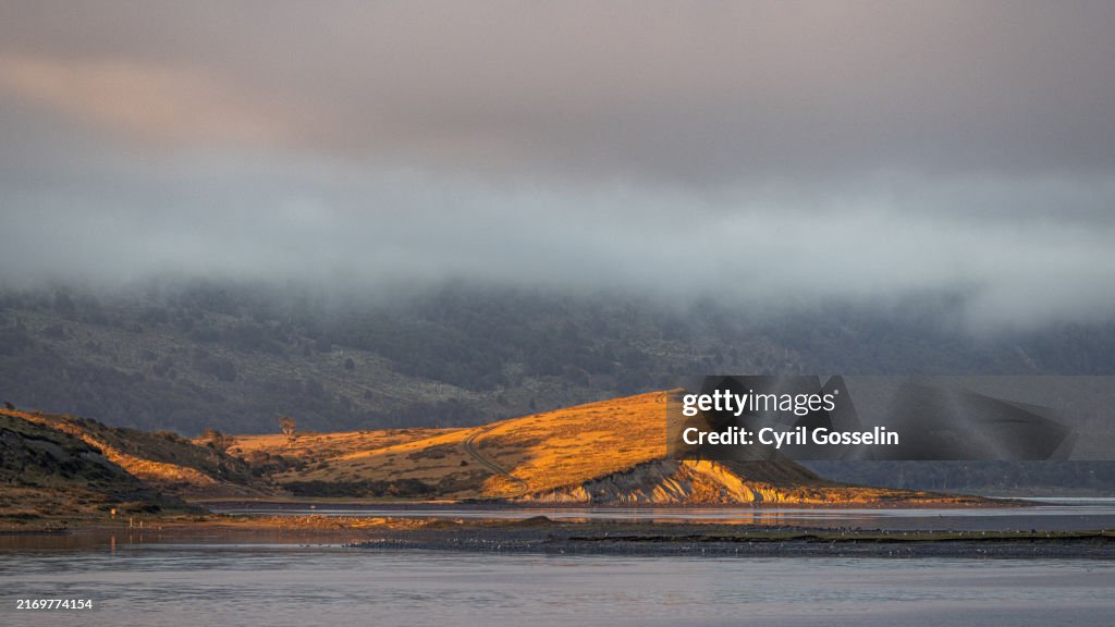 Hill on the coastline of the Beagle Channel, hit by first sunlight. Puerto Williams, Magallanes y la Antártica Chilena, Chile