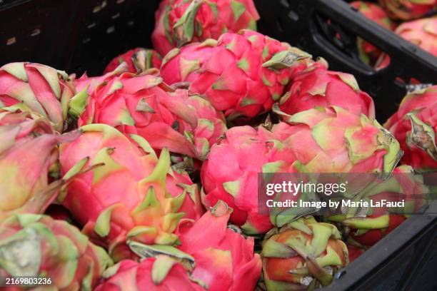 pitaya (dragon fruit) in a crate at a farmer's market - pitaya stock pictures, royalty-free photos & images